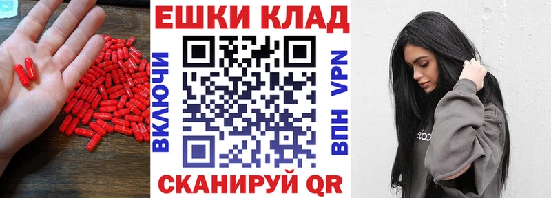 ЭКСТАЗИ бентли  сколько стоит  Снежногорск 