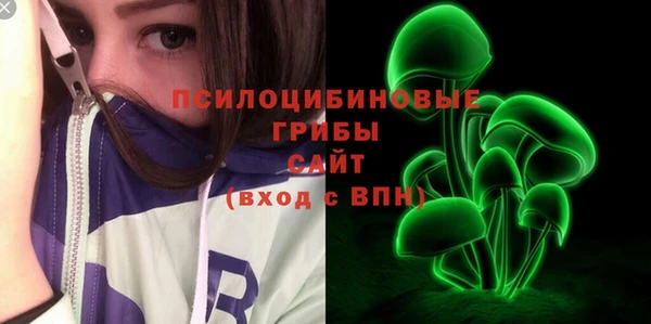 mdpv Арсеньев