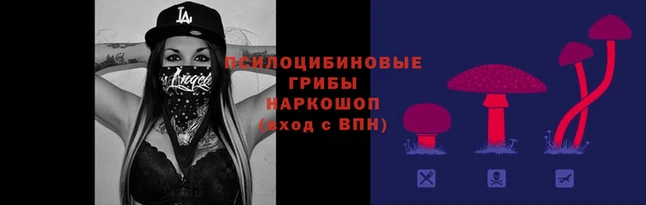 mdpv Арсеньев