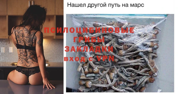MESCALINE Аркадак