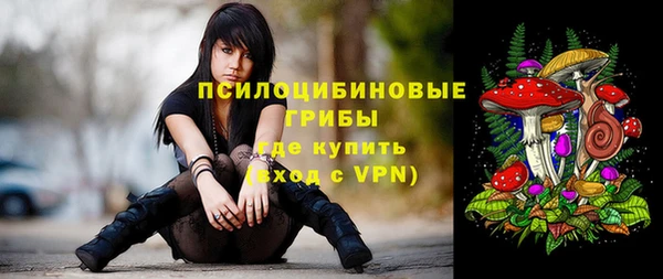 Альфа ПВП Алексин