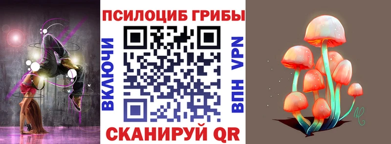 Галлюциногенные грибы Psilocybine cubensis Снежногорск